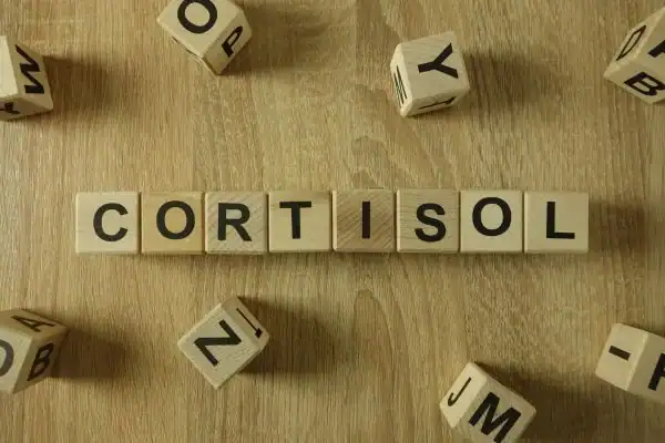 The Hidden Connection: How Stress Shapes Your Fitness and Body Composition 2 Image saying "Cortisol" and how stress Banbury impacts your wellbeing and bodies shape